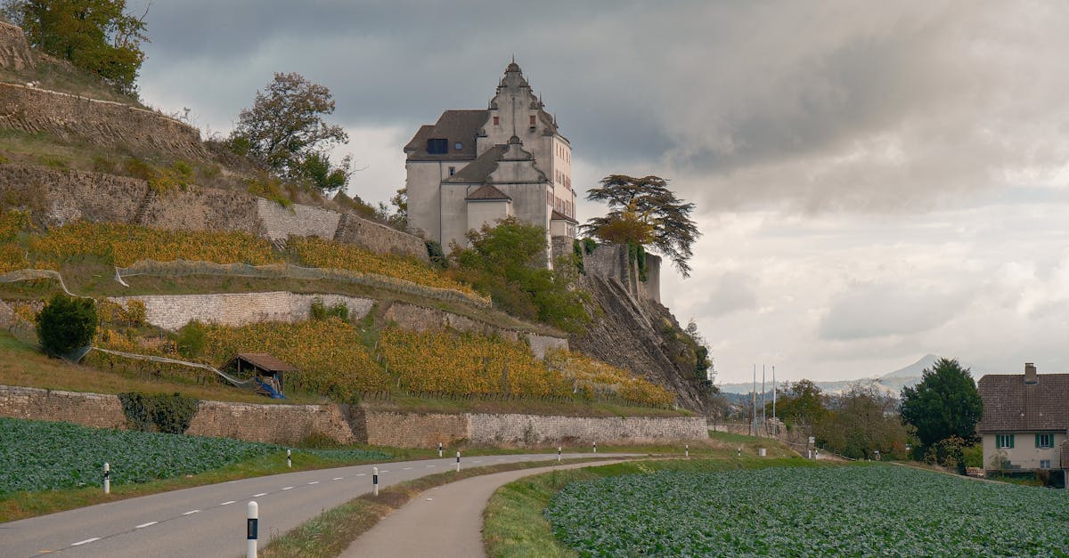 découvrez aargau, une région suisse riche en histoire et en culture, offrant des paysages à couper le souffle, des activités en plein air variées et une gastronomie locale savoureuse. explorez ses charmantes villes, ses châteaux médiévaux et ses sites naturels emblématiques.