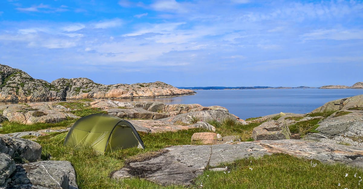 découvrez agder, une région scandinave riche en paysages naturels époustouflants, culture vibrante et activités de plein air passionnantes. explorez ses fjords majestueux, ses forêts denses et ses charmants villages. plongez dans l'histoire et les traditions locales tout en savourant la cuisine délicieuse d'agder.