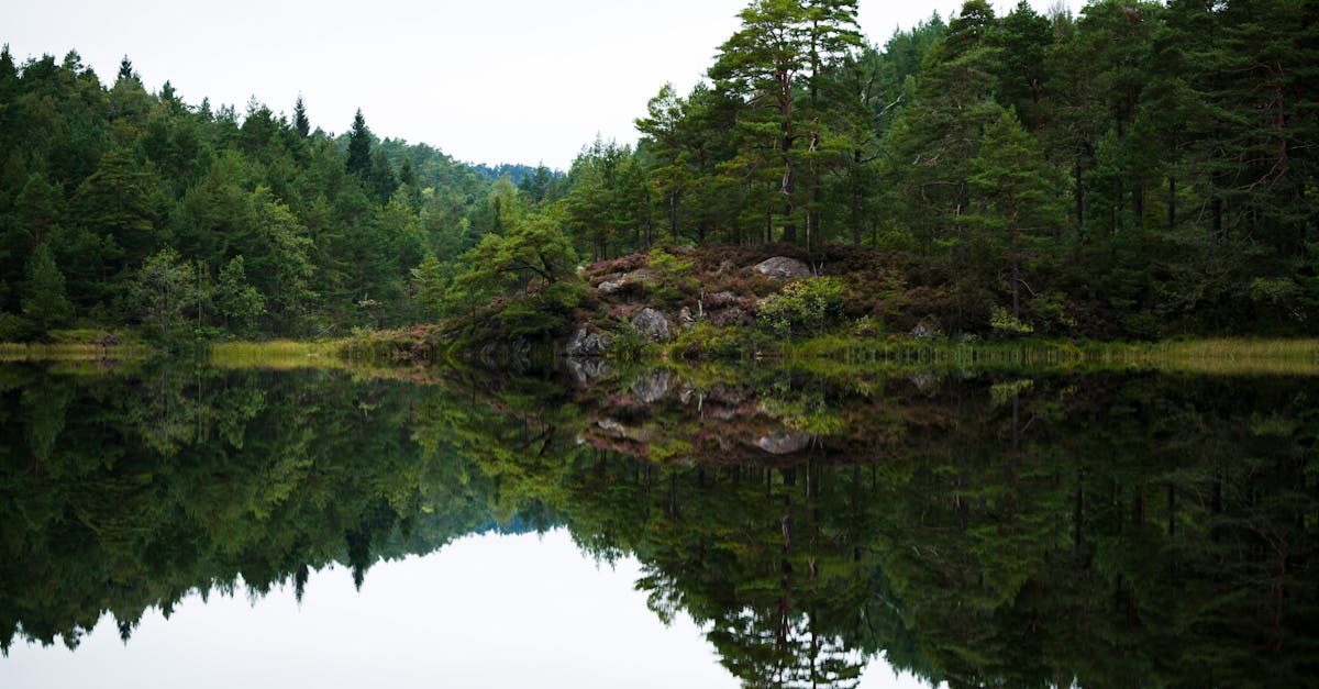 découvrez agder, une région norvégienne riche en paysages époustouflants, histoire fascinante et culture vibrante. explorez ses fjords majestueux, ses charmants villages et son patrimoine maritime unique. parfait pour les amateurs de nature et d'aventures en plein air.