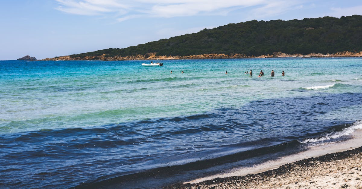 découvrez ajaccio, la capitale de la corse, célèbre pour ses plages de sable fin, son riche patrimoine historique et culturel, ainsi que son atmosphère ensoleillée et accueillante. explorez les ruelles pittoresques, les monuments emblématiques et goûtez à la délicieuse cuisine locale.