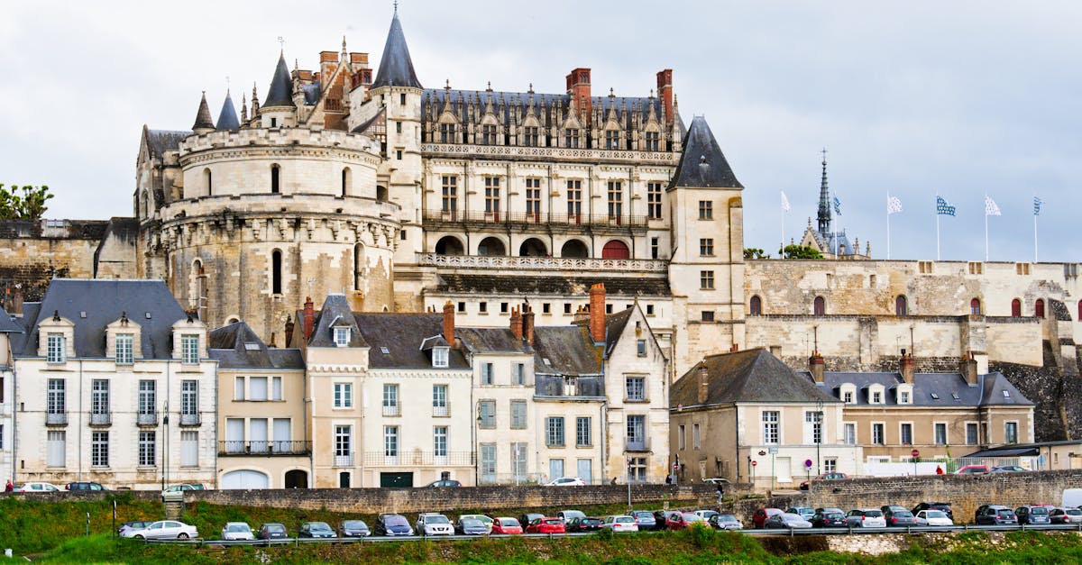 découvrez amboise, une charmante ville française située dans la vallée de la loire, célèbre pour son riche patrimoine historique, ses châteaux majestueux et ses paysages pittoresques. explorez les merveilles de cette destination authentique, entre art de vivre et gastronomie, et laissez-vous séduire par son ambiance unique.