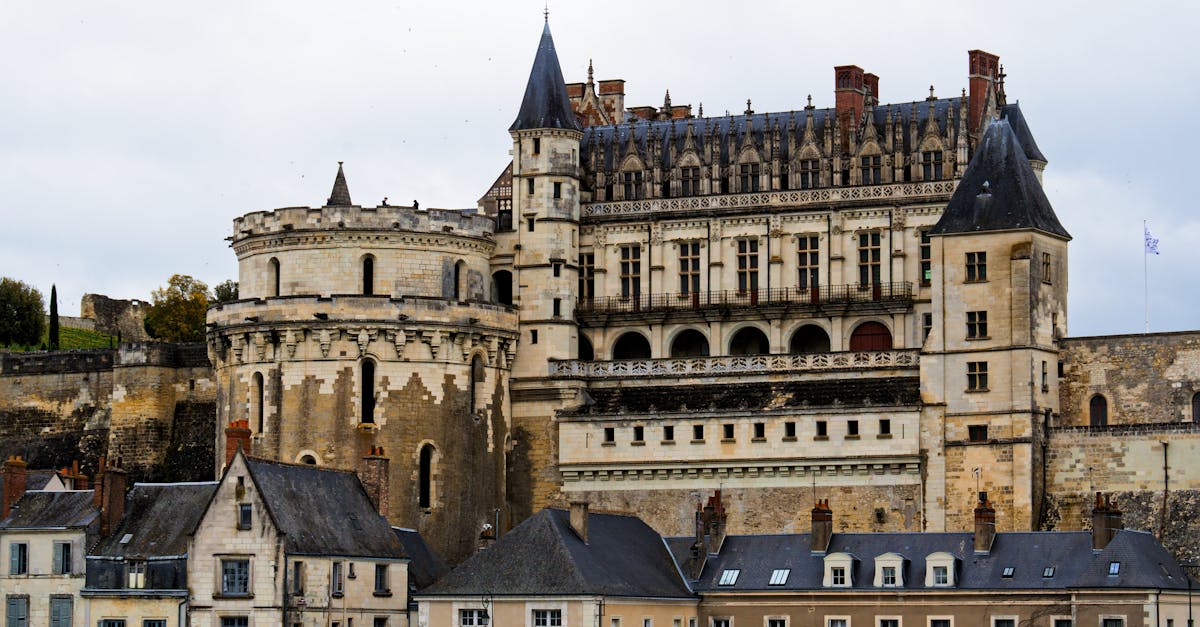 découvrez amboise, une charmante ville ligérienne riche en histoire et en culture. explorez son célèbre château, flânez dans ses ruelles pittoresques et savourez la gastronomie locale tout en profitant des paysages magnifiques de la vallée de la loire.