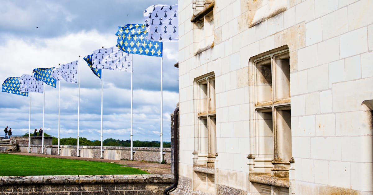 découvrez amboise, une charmante ville de la loire célèbre pour son château historique, ses paysages pittoresques et son ambiance authentique. explorez ses ruelles, savourez ses spécialités locales et plongez dans l'histoire fascinante de la renaissance.