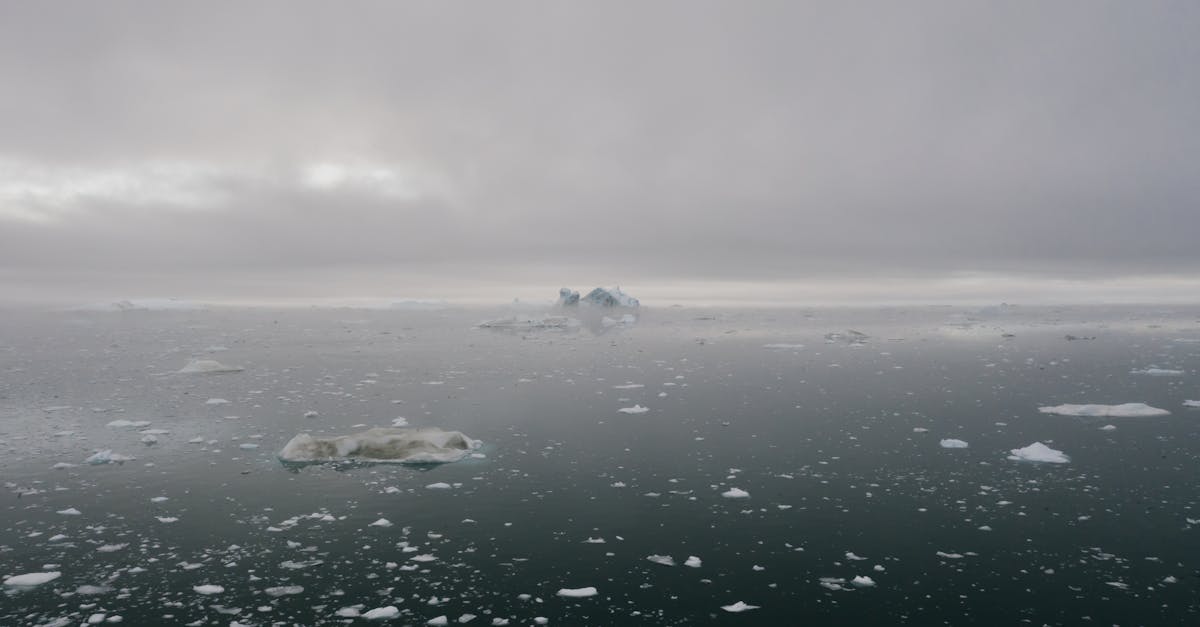 découvrez l'antarctique, un continent fascinant qui abrite des paysages époustouflants, des glaciers impressionnants et une faune unique. apprenez-en davantage sur son écosystème fragile et son importance pour la planète.
