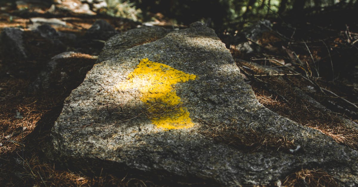 découvrez la vallée d'aoste, un écrin naturel niché au cœur des alpes italiennes, offrant des paysages à couper le souffle, des activités de plein air variées et un riche patrimoine culturel.