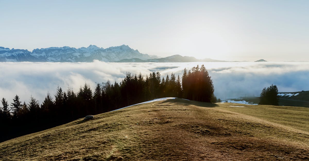 découvrez appenzell, un charmant village suisse célèbre pour son paysage pittoresque, ses traditions uniques et sa culture riche. explorez les magnifiques montagnes, savourez des spécialités locales et plongez dans un cadre authentique où l'hospitalité est un art de vivre.