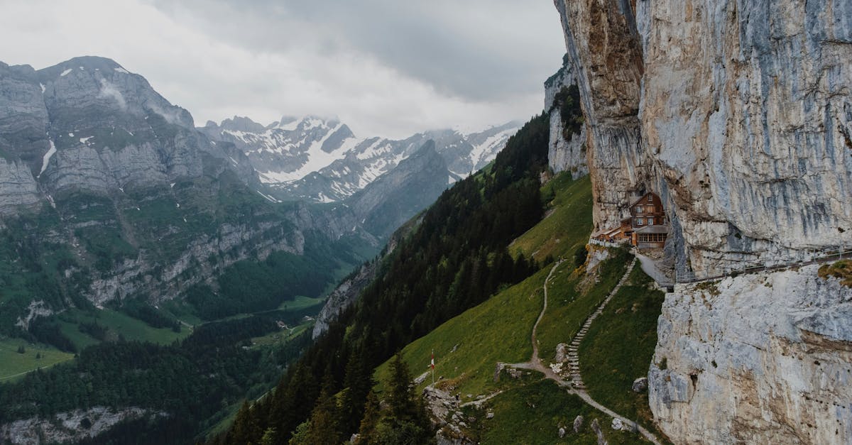 découvrez appenzell, un charmant village suisse réputé pour ses paysages pittoresques, ses traditions riches et sa culture vivante. profitez de la gastronomie locale, des sentiers de randonnée époustouflants et d'une ambiance conviviale unique. parfait pour les amoureux de la nature et les adeptes de découvertes authentiques.