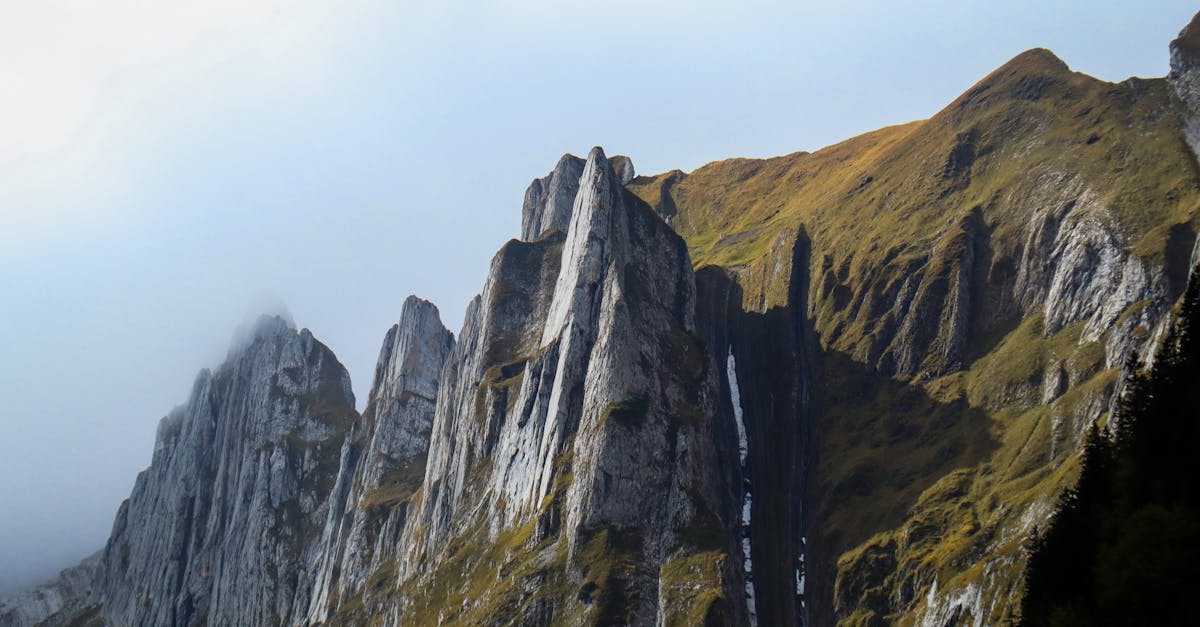 découvrez appenzell, un charmant village suisse réputé pour ses paysages pittoresques, sa culture unique et ses traditions vivantes. explorez ses ruelles colorées, visitez ses fromageries artisanales et plongez dans l'histoire de cette région fascinante au cœur des alpes suisses.