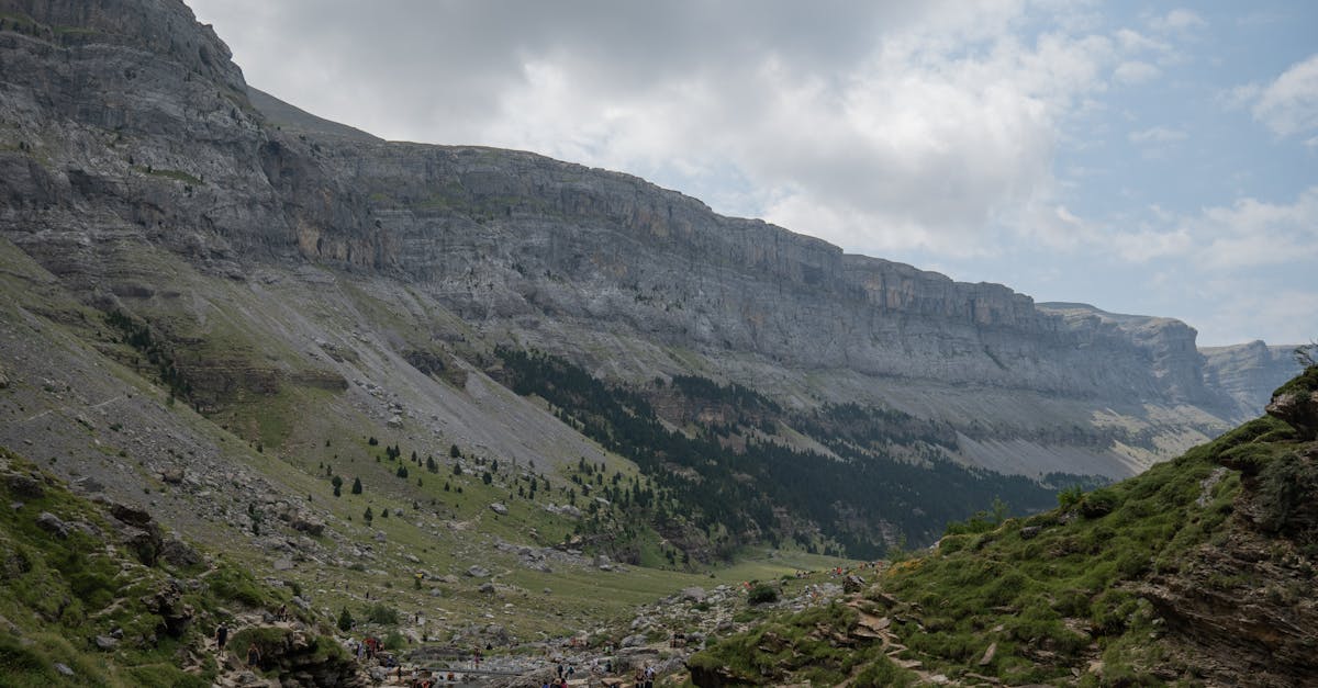 découvrez le monde fascinant d'aragon, une région au riche patrimoine culturel et historique. explorez ses paysages variés, ses traditions vibrantes et ses trésors gastronomiques. plongez dans l'expérience unique qu'offre aragon et laissez-vous séduire par son charme authentique.