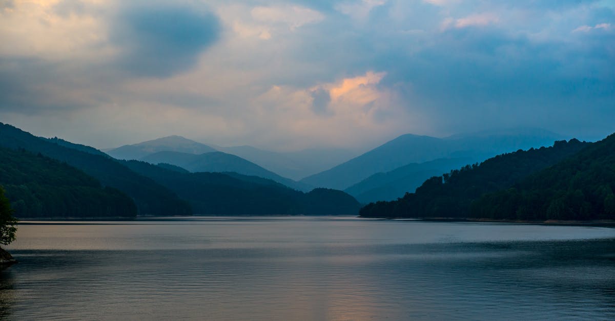 découvrez argeș, une région riche en histoire et en paysages naturels. explorez ses charmants villages, ses monuments historiques et sa culture unique, tout en profitant d'activités de plein air mémorables.