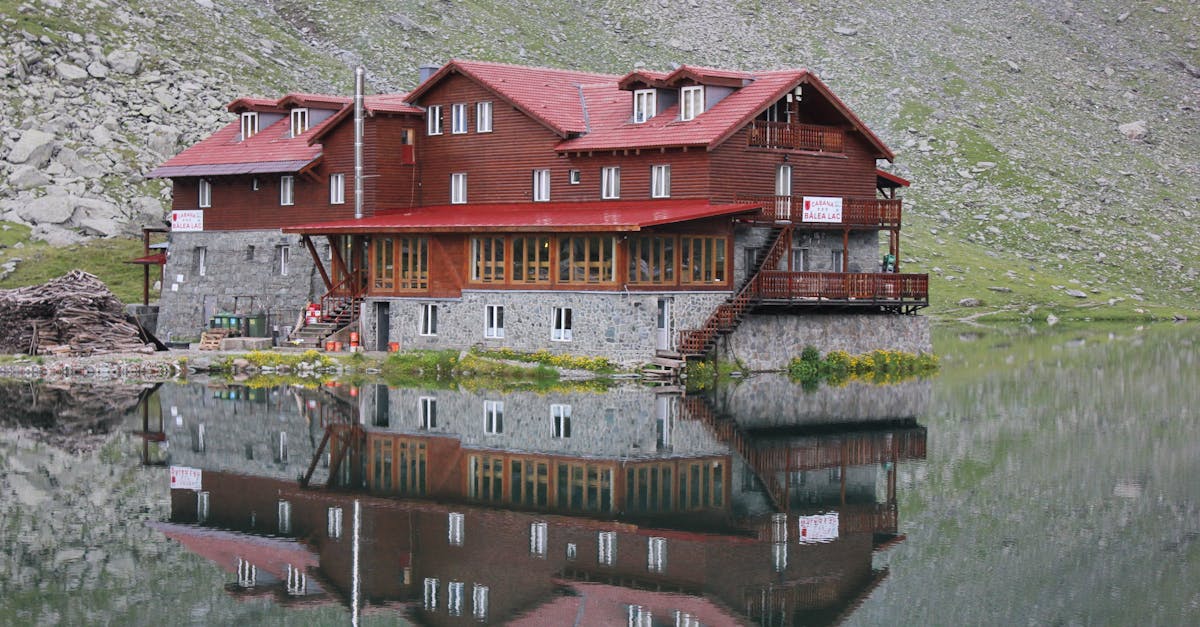 découvrez argeș, une région fascinante de roumanie regorgeant de paysages pittoresques, de richesses culturelles et d'une histoire riche. explorez ses sites historiques, ses monastères spectaculaires et profitez d'activités en plein air au cœur de la nature.