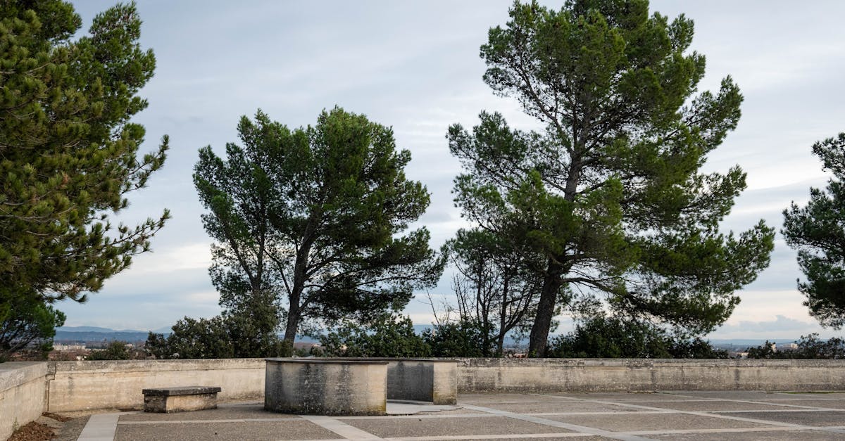 découvrez avignon, la ville des papes, avec son célèbre palais des papes, ses festivals vibrants et ses charmantes ruelles médiévales. plongez dans l'histoire, la culture et la gastronomie provençale au cœur de cette destination incontournable.