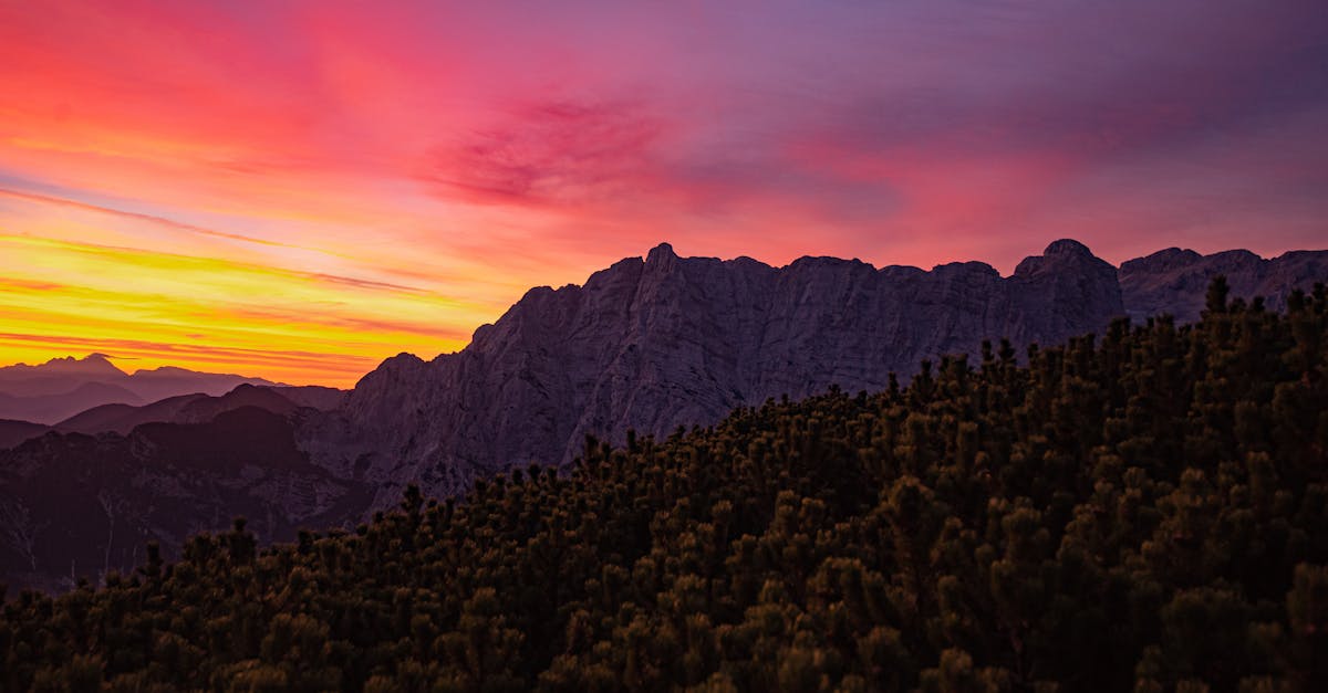 découvrez la richesse des balkans, une région fascinante d'europe de l'est, mêlant cultures, traditions et paysages variés. explorez ses villes historiques, sa cuisine savoureuse et ses paysages époustouflants, des montagnes aux plages. plongez dans l'héritage culturel unique des balkans et laissez-vous séduire par cette destination encore méconnue.