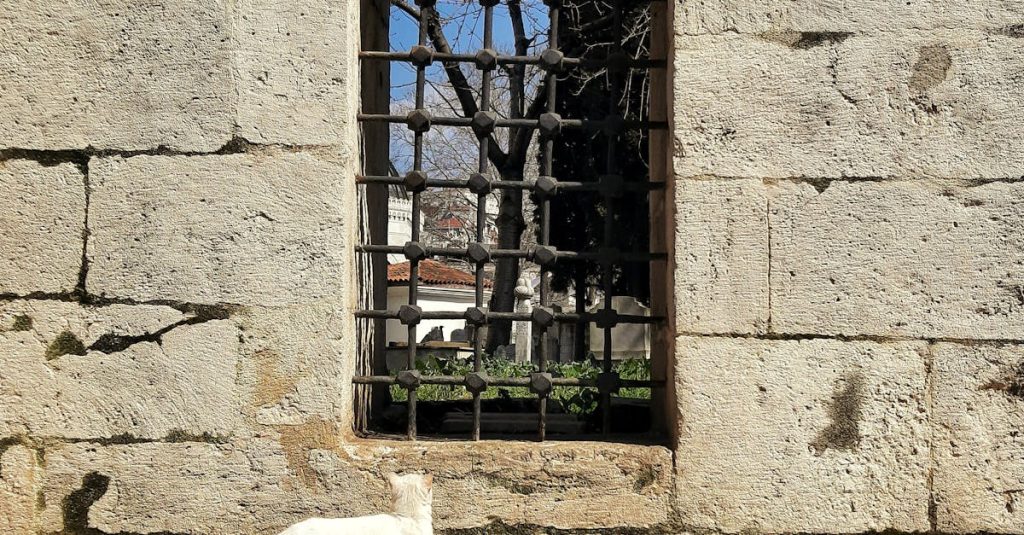 découvrez bar-le-duc, charmante ville de la meuse, célèbre pour son patrimoine historique, sa gastronomie unique et ses paysages pittoresques. partez à la rencontre de ses ruelles médiévales et de ses monuments emblématiques, et profitez d'une expérience inoubliable au cœur de la lorraine.
