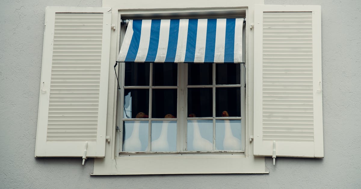 découvrez basel, une ville dynamique en suisse, riche en histoire, culture et art. explorez ses musées renommés, ses magnifiques places et plongez dans la multifonctionnalité de cette métropole au bord du rhin. que vous soyez amateur d'architecture, de gastronomie ou de nature, basel vous offre une expérience inoubliable.