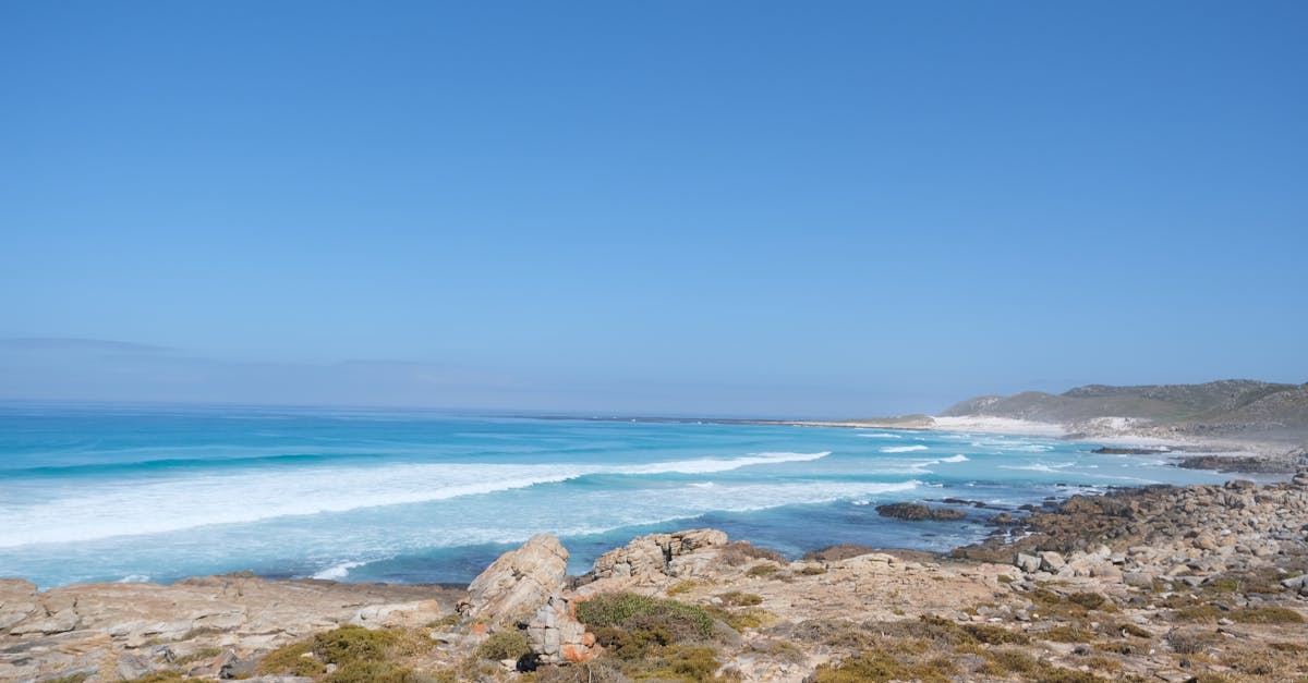 découvrez basse-pointe, une commune pittoresque de la martinique. profitez de ses paysages enchanteurs, de ses plages de sable fin et de sa riche culture créole. explorez les sentiers de randonnée, goûtez à la cuisine locale et plongez dans l'histoire fascinante de cette destination incontournable.