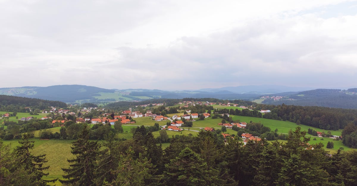 découvrez la beauté de la bavière, une région pittoresque d'allemagne connue pour ses paysages enchanteurs, ses traditions riches et sa culture unique. explorez des châteaux majestueux, savourez une cuisine délicieuse et plongez dans l'hospitalité bávara.