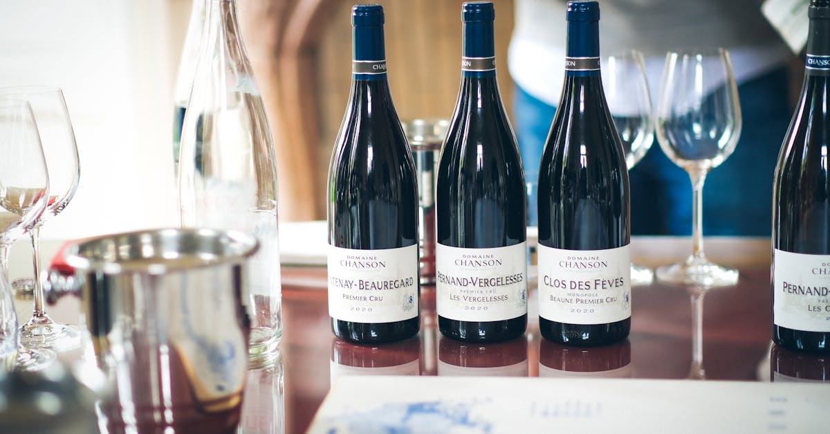 découvrez la ville de beaune, joyau de la bourgogne, célèbre pour ses vins prestigieux, ses magnifiques hospices et son patrimoine historique exceptionnel. plongez dans l'art de vivre bourguignon à travers ses traditions gastronomiques et ses paysages viticoles envoûtants.