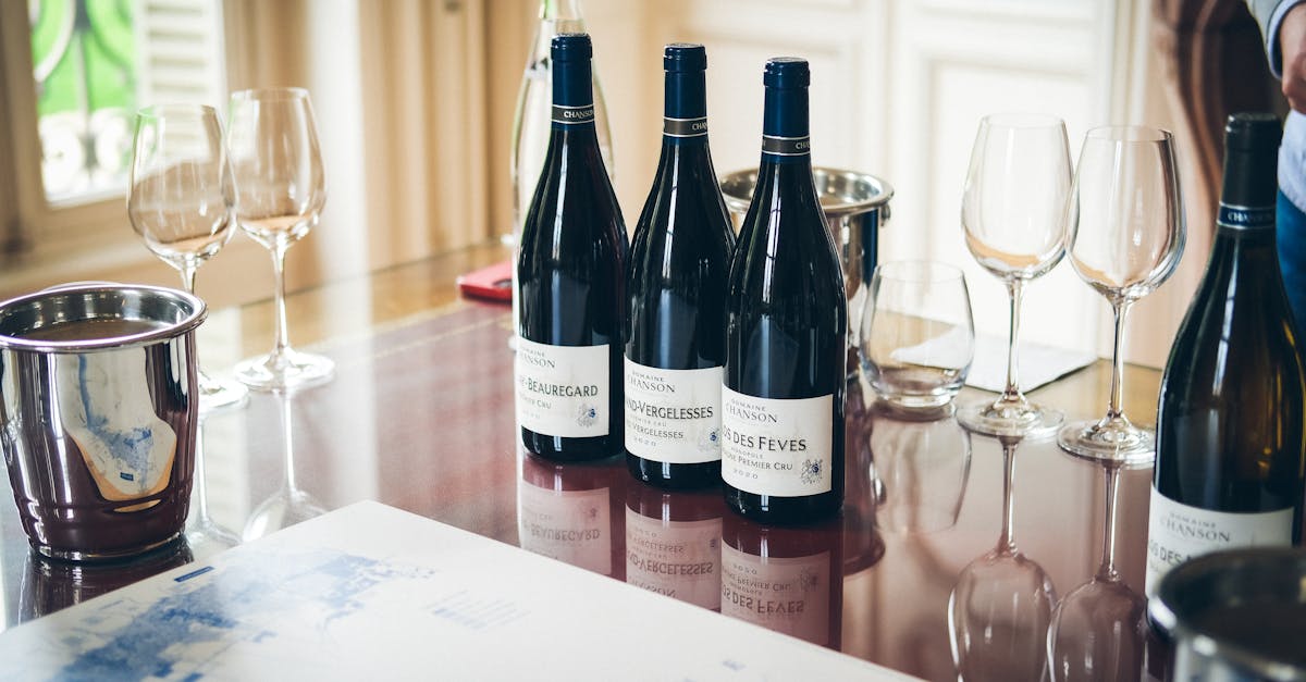 découvrez beaune, une charmante ville située au coeur de la bourgogne, célèbre pour ses vignobles prestigieux, son patrimoine historique riche et sa gastronomie raffinée. explorez ses remparts médiévaux, visitez les célèbres hospices de beaune et dégustez les meilleurs vins de la région.