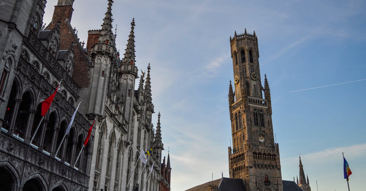 découvrez belfort, une ville riche en histoire et en culture, abritant la célèbre citadelle et des paysages magnifiques. explorez ses attractions, sa gastronomie et son ambiance unique, au cœur de la franche-comté.