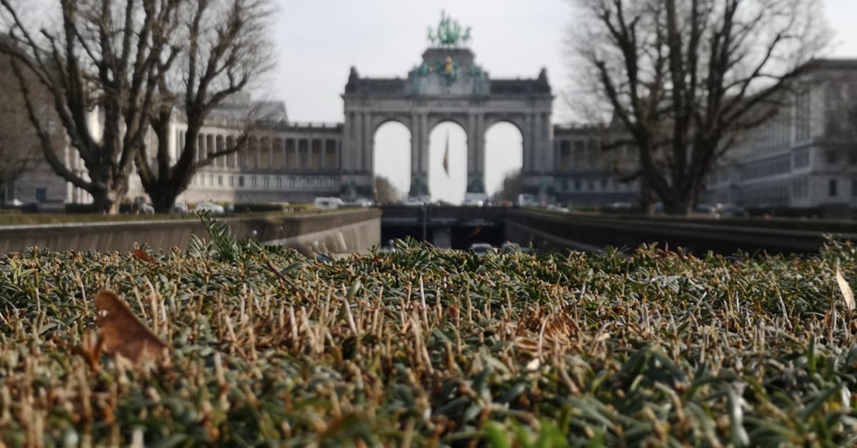 découvrez la belgique, un pays riche en histoire, culture et gastronomie. explorez ses villes pittoresques, savourez des chocolats exquis et plongez dans la diversité de ses traditions. un voyage incontournable au cœur de l'europe.