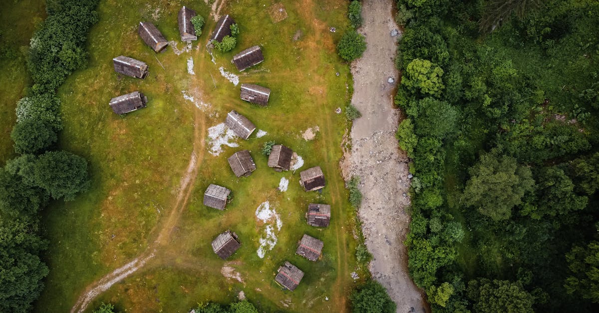 découvrez bihor, un département riche en patrimoine naturel et culturel, offrant des paysages époustouflants, des traditions fascinantes et une multitude d'activités pour les amoureux de la nature et de l'histoire.
