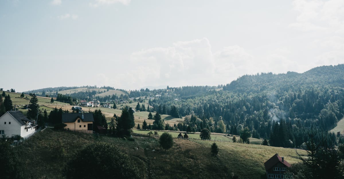 découvrez bistrita-nasaud, une magnifique région de la transylvanie en roumanie, réputée pour ses paysages pittoresques, son riche patrimoine culturel et ses traditions vivantes. explorez ses charmants villages, ses châteaux historiques et ses sentiers de randonnée, parfaits pour les amoureux de la nature et de l'histoire.