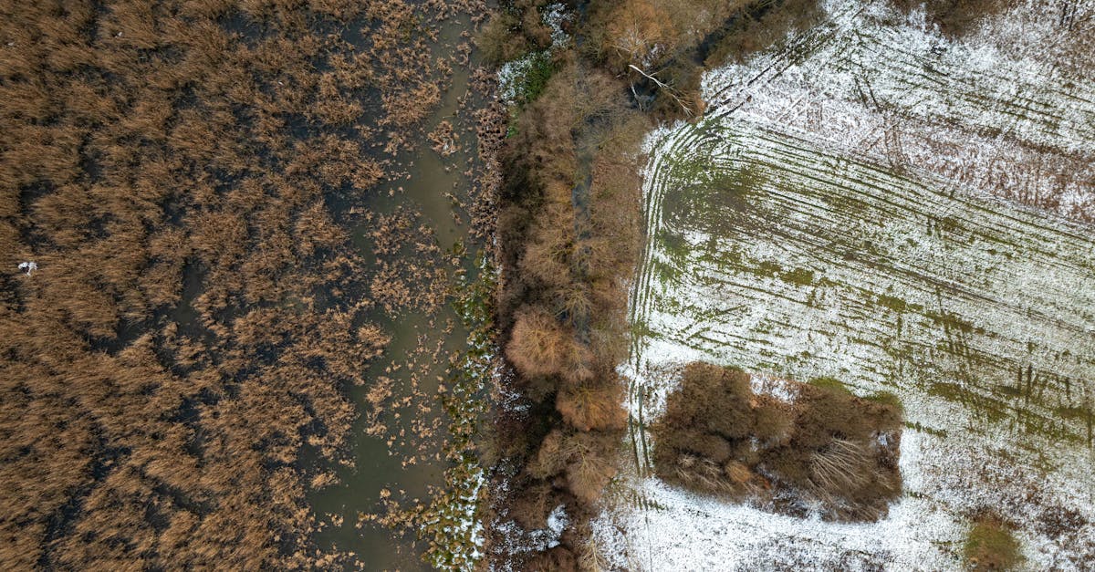 découvrez bjelovar-bilogora, une région charmante en croatie, riche en histoire, paysages pittoresques et culture vibrante. explorez ses attractions naturelles, ses traditions locales et savourez la gastronomie authentique qui fait le charme de cette destination unique.