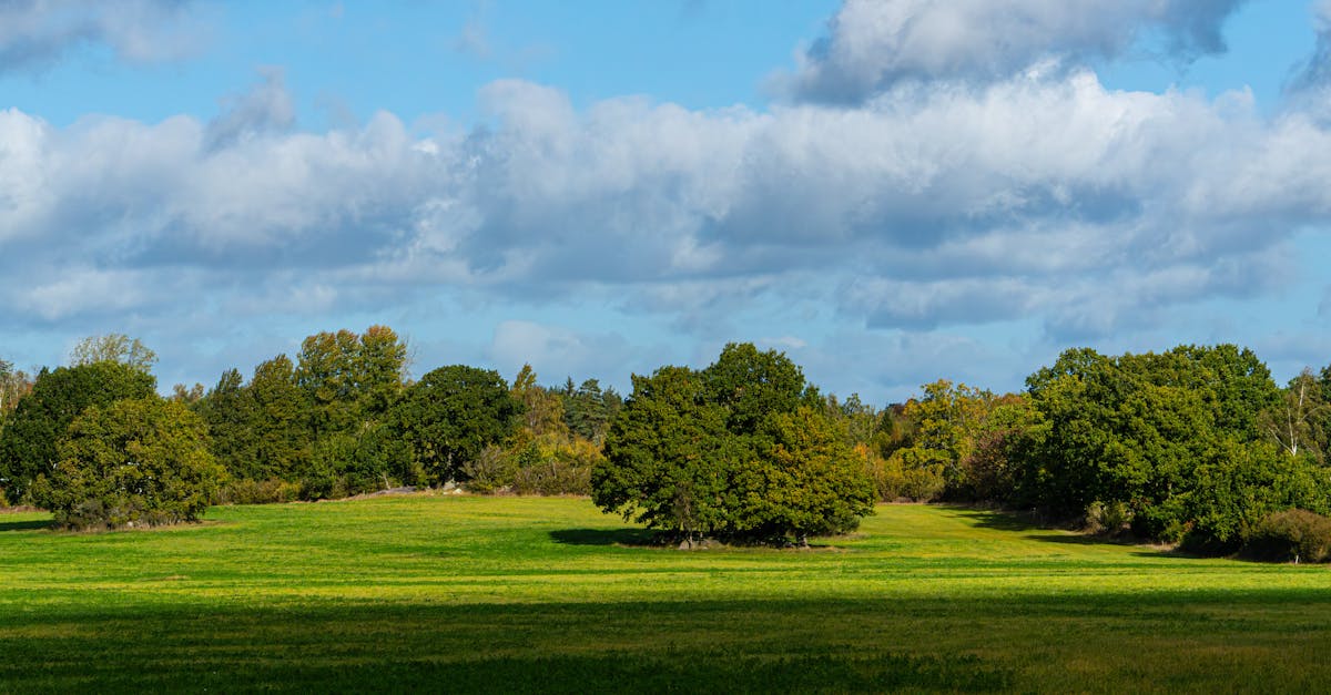 découvrez blekinge, une magnifique région côtière de suède, réputée pour ses paysages pittoresques, ses charmants villages et ses activités de plein air. explorez ses archipels, savourez une cuisine délicieuse et plongez dans la culture suédoise authentique.