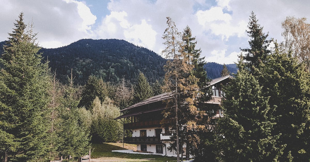 découvrez brașov, une charmante ville roumaine entourée de montagnes, célèbre pour son patrimoine médiéval, ses rues pavées et son atmosphère pittoresque. explorez ses sites historiques, tels que l'église noire et la charmante place du conseil, et profitez des activités de plein air dans les carpates.