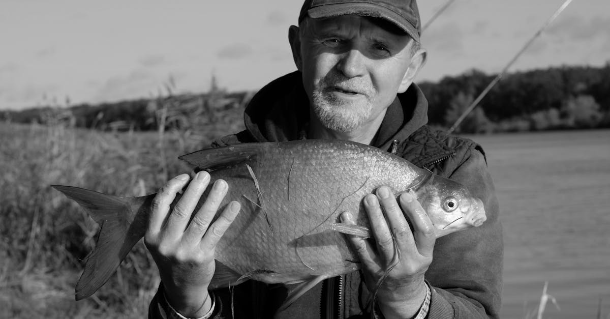 découvrez le bream, un poisson prisé pour sa chair délicate et ses saveurs uniques. apprenez-en plus sur ses habitats, ses techniques de pêche et des recettes savoureuses pour le cuisiner.