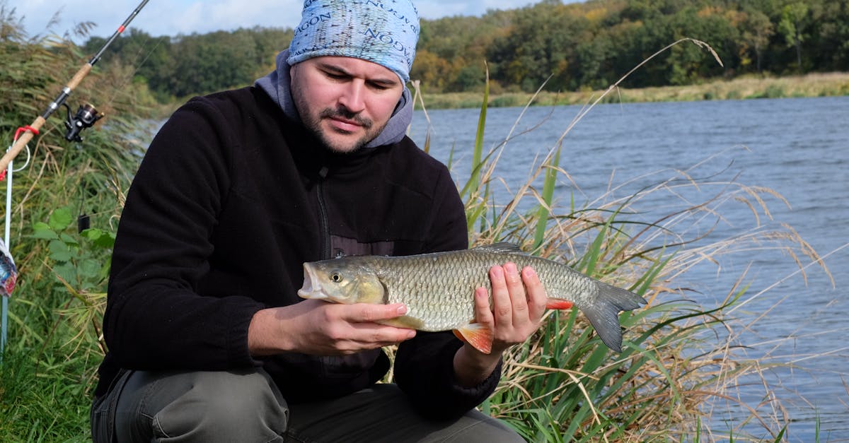 découvrez tout sur le bream, ce poisson prisé par les amateurs de pêche. apprenez ses caractéristiques, ses habitats et comment le pêcher efficacement. une ressource incontournable pour les passionnés de la mer et de la gastronomie.