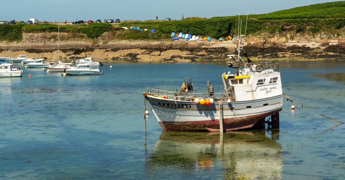 découvrez brest, une ville dynamique située sur la côte bretonne, réputée pour ses paysages marins, son riche patrimoine maritime et ses activités culturelles. explorez le port, visitez les musées et profitez des nombreuses plages et espaces naturels qu'elle offre.