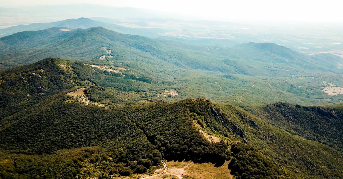 découvrez la bulgarie, un pays riche en histoire, culture et paysages à couper le souffle. des plages de la mer noire aux montagnes des balkans, explorez ses trésors ancestraux et sa cuisine savoureuse. préparez votre voyage vers cette destination européenne fascinante.