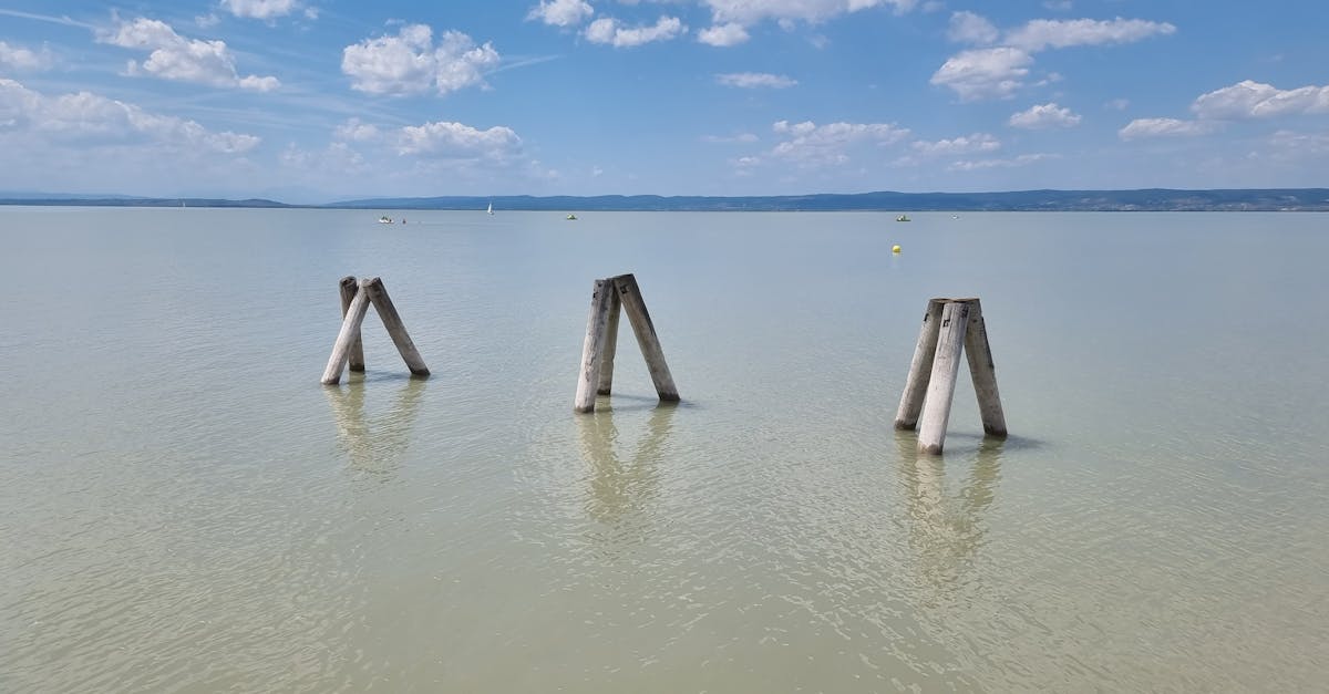 découvrez burgenland, une région viticole enchanteresse de l'autriche, célèbre pour ses paysages pittoresques, ses châteaux historiques et ses traditions culinaires. explorez ses lacs scintillants, ses charmants villages et savourez des vins primés tout en profitant d'activités de plein air uniques.