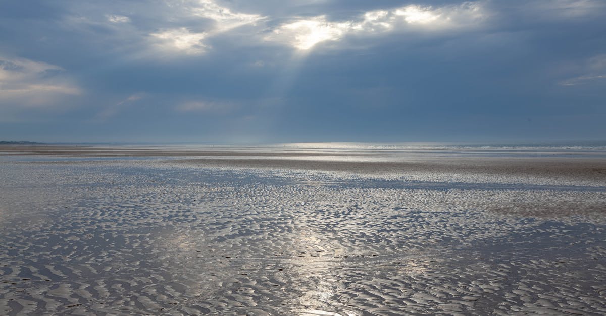 découvrez cabourg, charmante station balnéaire de la côte fleurie, réputée pour ses plages dorées, son architecture belle époque et son ambiance romantique. parfait pour des vacances en famille ou une escapade en amoureux, cabourg vous invite à explorer ses nombreux restaurants, boutiques et activités nautiques.