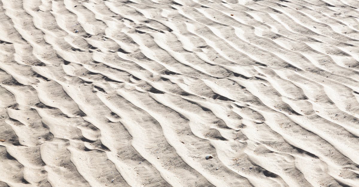 découvrez cabourg, charmante station balnéaire normande, célèbre pour sa plage de sable fin, ses villas belle époque et son ambiance romantique. explorez ses boutiques, restaurants et le célèbre grand hôtel, tout en profitant des magnifiques paysages du littoral.