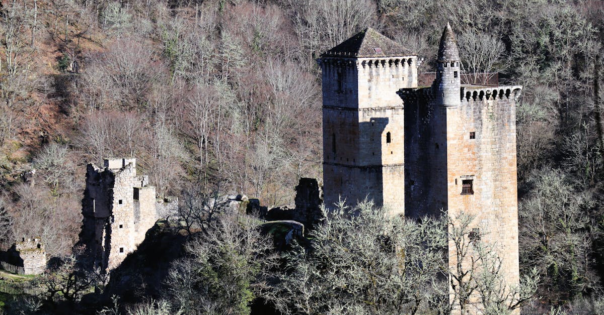 découvrez cahors, une charmante ville du sud-ouest de la france, célèbre pour ses vins rouges riches, son patrimoine historique fascinant et son cadre naturel enchanteur. explorez les rues pavées, savourez la gastronomie locale et laissez-vous séduire par la beauté des paysages environnants.