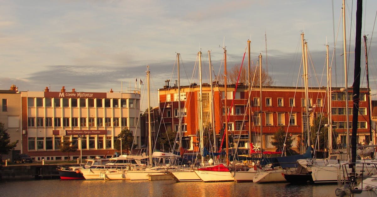 découvrez calais, charmante ville portuaire du nord de la france, célèbre pour ses plages, son riche patrimoine historique et la majestueuse gare de eurotunnel. explorez ses monuments emblématiques, goûtez à sa gastronomie locale et profitez d'activités variées pour toute la famille.