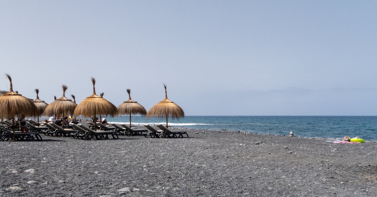 découvrez les canaries, un archipel enchanteur au large des côtes africaines, célèbre pour ses plages de sable doré, ses paysages volcaniques et sa culture vibrante. parfait pour les amoureux de la nature et les aventuriers, explorez des sentiers de randonnée, savourez une cuisine locale délicieuse et profitez d'un climat doux tout au long de l'année.
