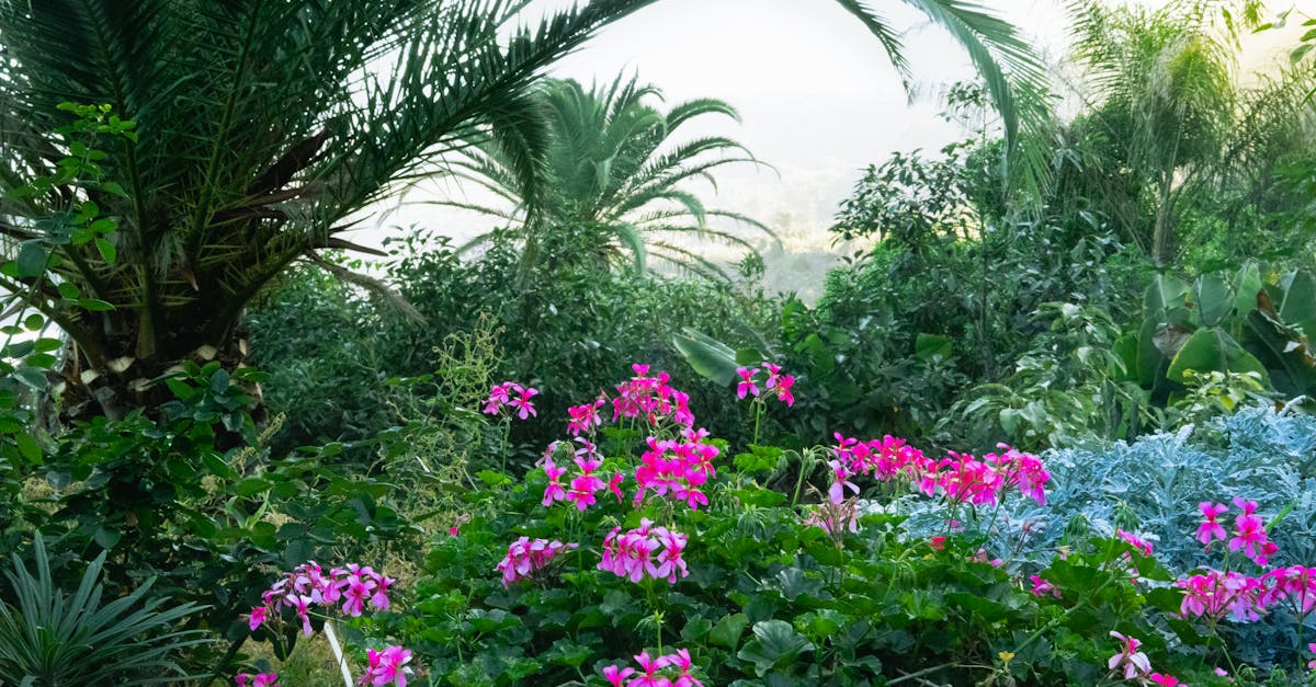 découvrez les canaries, un archipel paradisiaque aux paysages époustouflants, plages de sable doré et culture riche. partez à l'aventure entre nature préservée et activités en plein air dans cet incontournable des vacances ensoleillées.