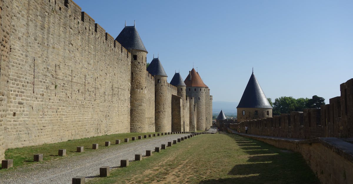 découvrez carcassonne, la majestueuse cité médiévale classée au patrimoine mondial de l'unesco. explorez ses remparts impressionnants, déambulez dans ses ruelles pavées chargées d'histoire et laissez-vous charmer par son ambiance unique, alliant culture et gastronomie.