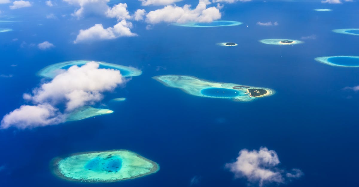 découvrez les merveilles des caraïbes : plages de sable fin, eaux turquoise, cultures vibrantes et paysages à couper le souffle. planifiez votre évasion tropicale dès aujourd'hui !