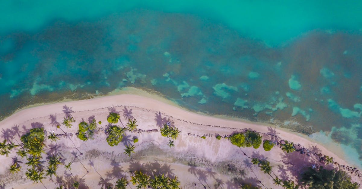 découvrez la beauté envoûtante des caraïbes : plages de sable blanc, eaux turquoise, culture vibrante et paysages à couper le souffle. partez à l'aventure dans cet archipel paradisiaque.