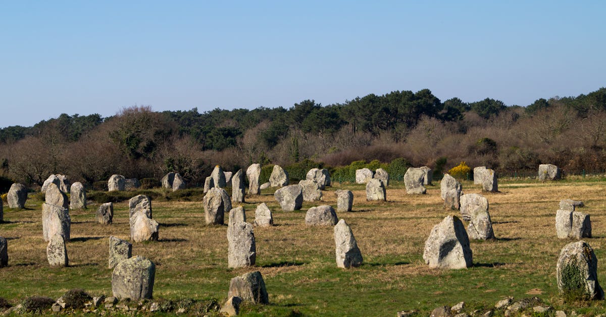 découvrez carnac, célèbre pour ses alignements de menhirs impressionnants, ses plages magnifiques et son riche patrimoine breton. explorez l'histoire fascinante de cette commune et profitez d'activités variées, du patrimoine culturel aux paysages naturels.