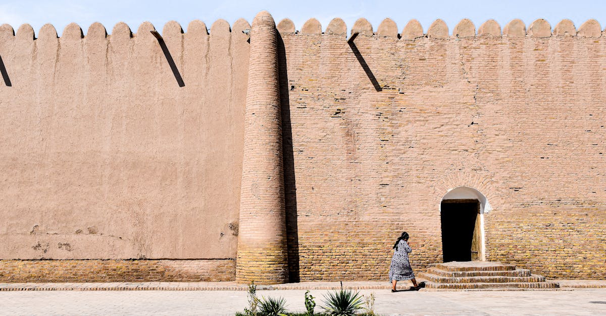 découvrez la richesse et la diversité de l'asie centrale, une région fascinante où se mêlent cultures anciennes, paysages grandioses et traditions vivantes. explorez les villes historiques de la route de la soie, les magnifiques montagnes et les steppes infinies. plongez dans l'histoire et l’avenir d'une terre de rencontres.