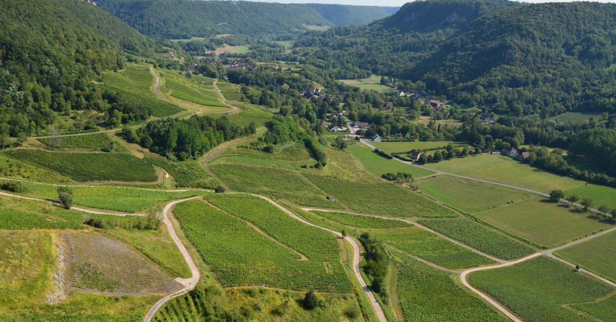 découvrez chalon, une charmante ville française riche en histoire et en culture, où la saône se mêle à des paysages pittoresques. explorez ses musées, ses festivals et ses sites emblématiques, tout en savourant l'art de vivre bourguignon.