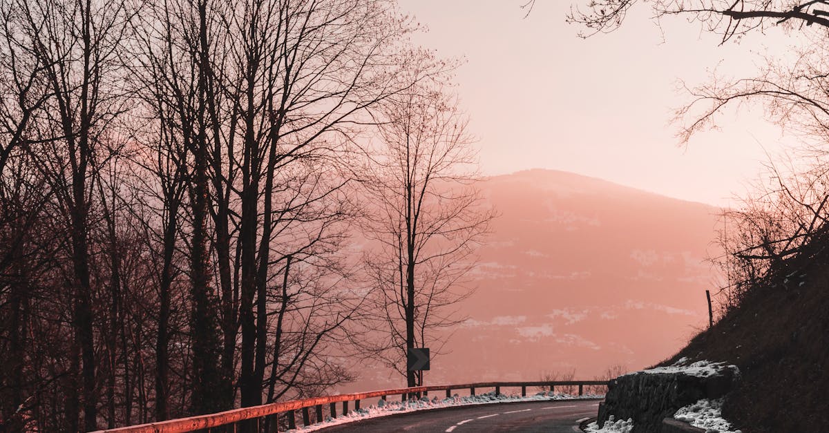 découvrez chamonix, la célèbre station de montagne en france, idéale pour les amateurs de ski, de randonnée et d'aventure en plein air. profitez des paysages à couper le souffle du mont blanc et explorez la culture alpine unique de cette destination prisée.
