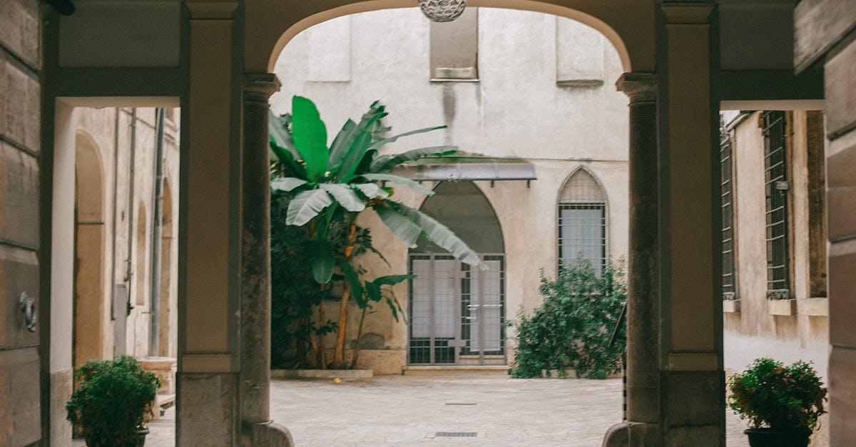 découvrez l'élégance intemporelle et l'histoire fascinante des châteaux, des résidences majestueuses qui incarnent le patrimoine architectural et culturel de la france. explorez leurs jardins luxuriants, leurs salles richement décorées et laissez-vous emporter par les récits des nobles qui y ont vécu.