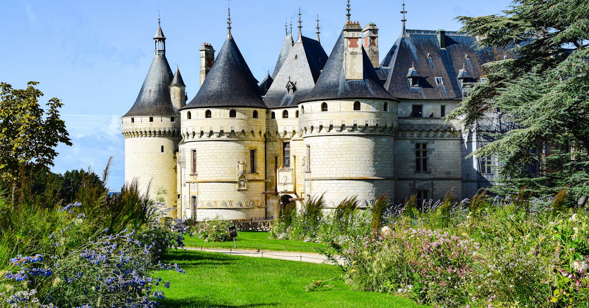 découvrez chaumont, une charmante ville française riche en histoire et en culture. explorez ses monuments emblématiques, flânez dans ses parcs et savourez la cuisine locale. plongez dans l'ambiance unique de cette destination à ne pas manquer.